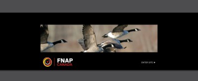 FNAPWebsite